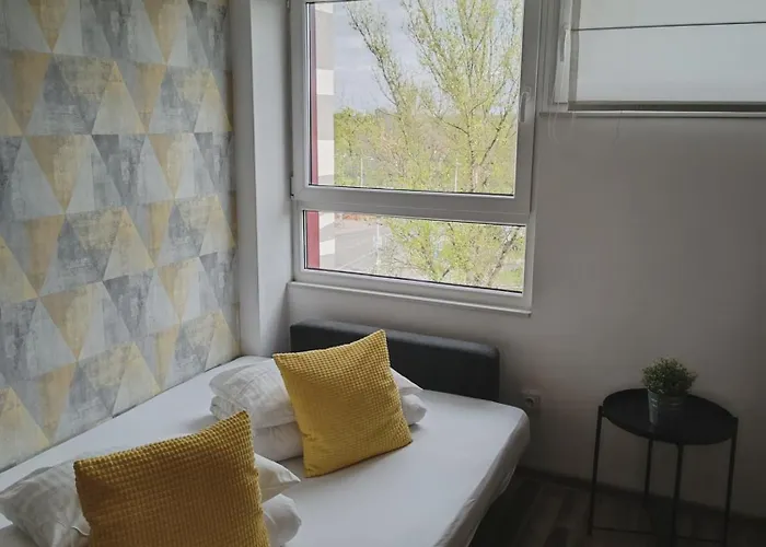 Starter 24 弗罗茨瓦夫