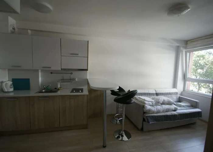 Starter 24 弗罗茨瓦夫