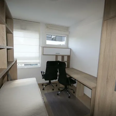 Starter 24 * Vratislav