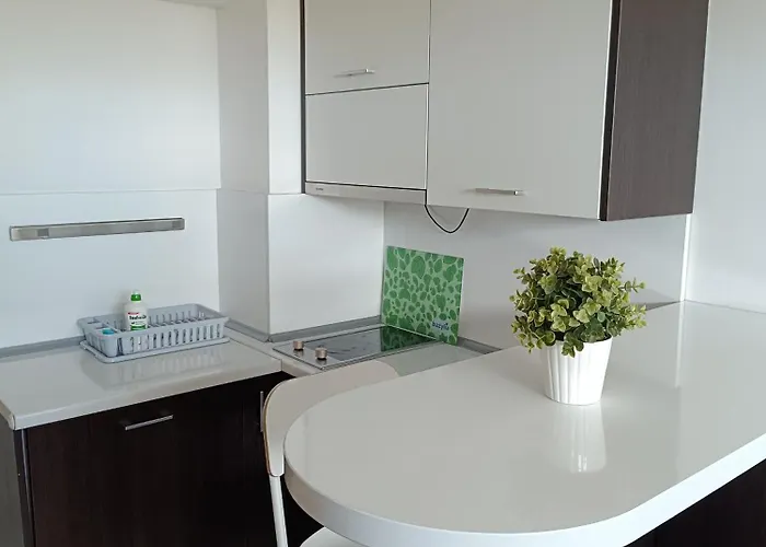 Starter 24 Apartment